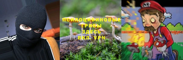 соль курить ск Арсеньев