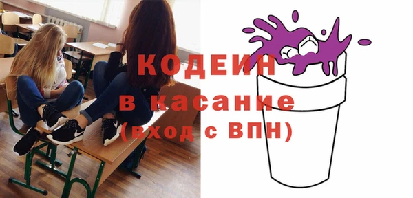 хмурый Аркадак