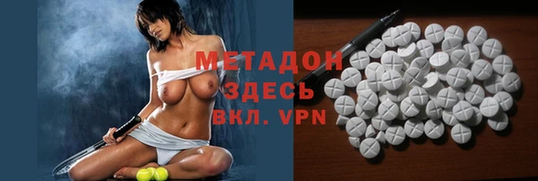 хмурый Аркадак