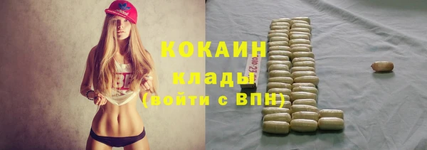 хмурый Аркадак
