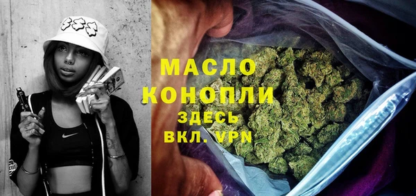 хмурый Аркадак