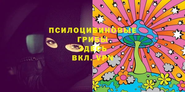 хмурый Аркадак