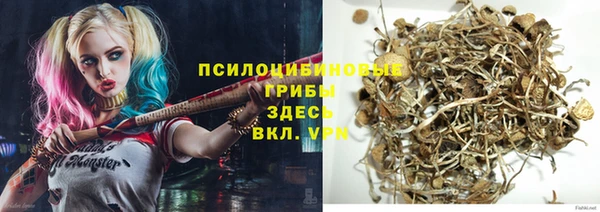 соль курить ск Арсеньев