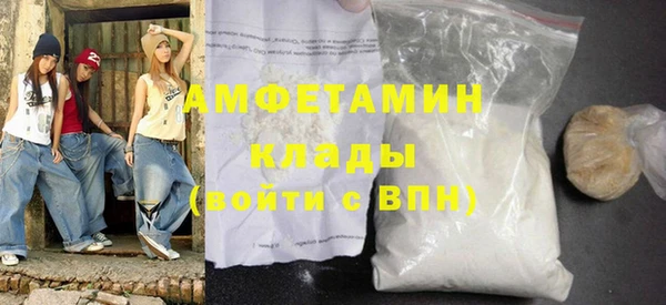 хмурый Аркадак