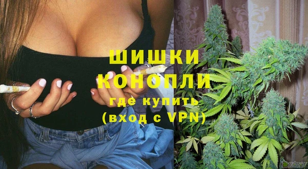 хмурый Аркадак